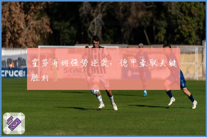 霍芬海姆强势逆袭,德甲豪取关键胜利