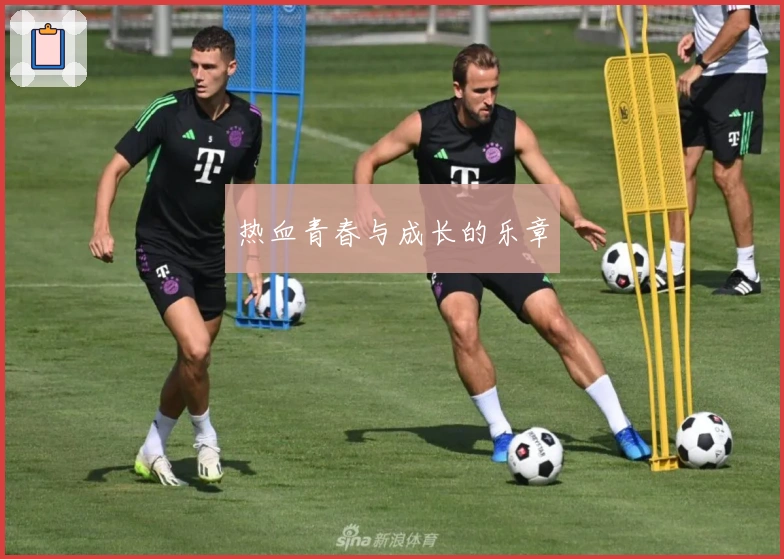 热血青春与成长的乐章